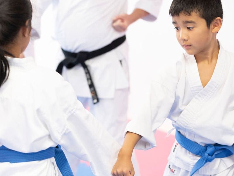 Kids Martial Arts Classes | Australian Karate Academy Sydney